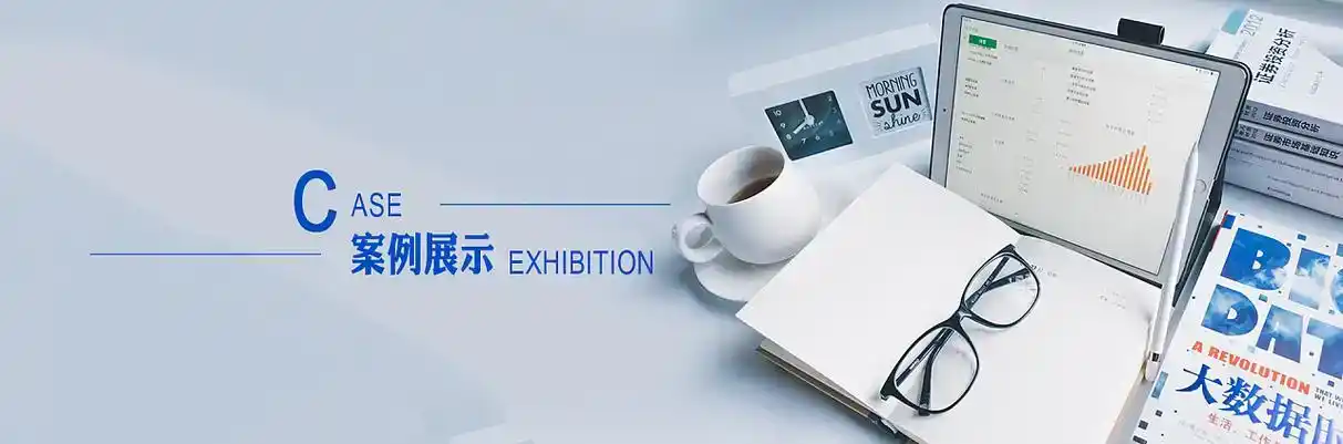 武清区软件开发